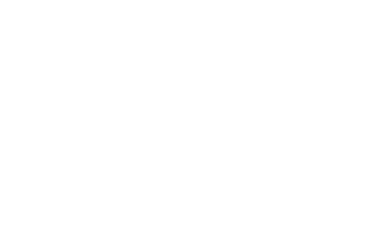 Bridge AI